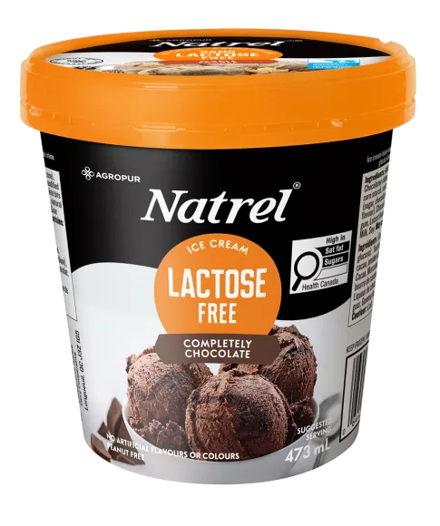 Completely Chocolate Lactose Free Ice Cream